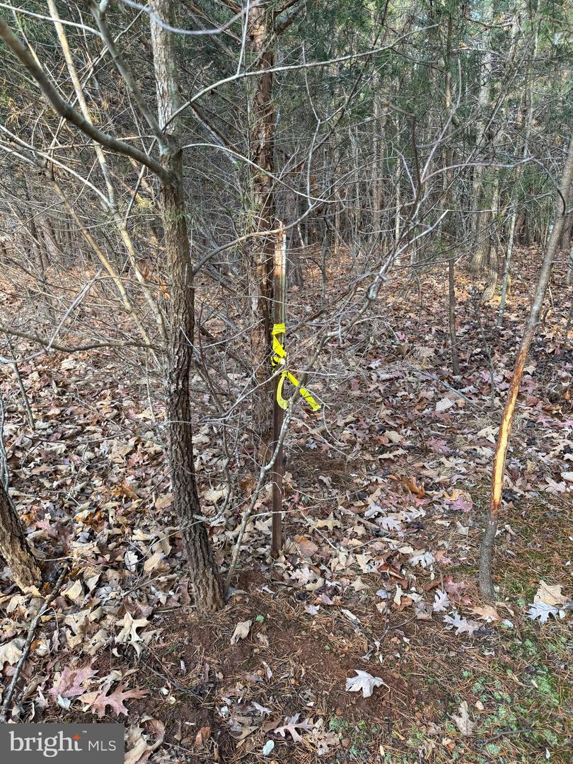 0 PEACE AND QUIET CIR, REVA, Virginia 22735, ,Land,For sale,0 PEACE AND QUIET CIR,VACU2012258 MLS # VACU2012258 0 PEACE AND QUIET CIR, REVA, Virginia 22735, ,Land,For sale,0 PEACE AND QUIET CIR,VACU2012258 MLS # VACU2012258