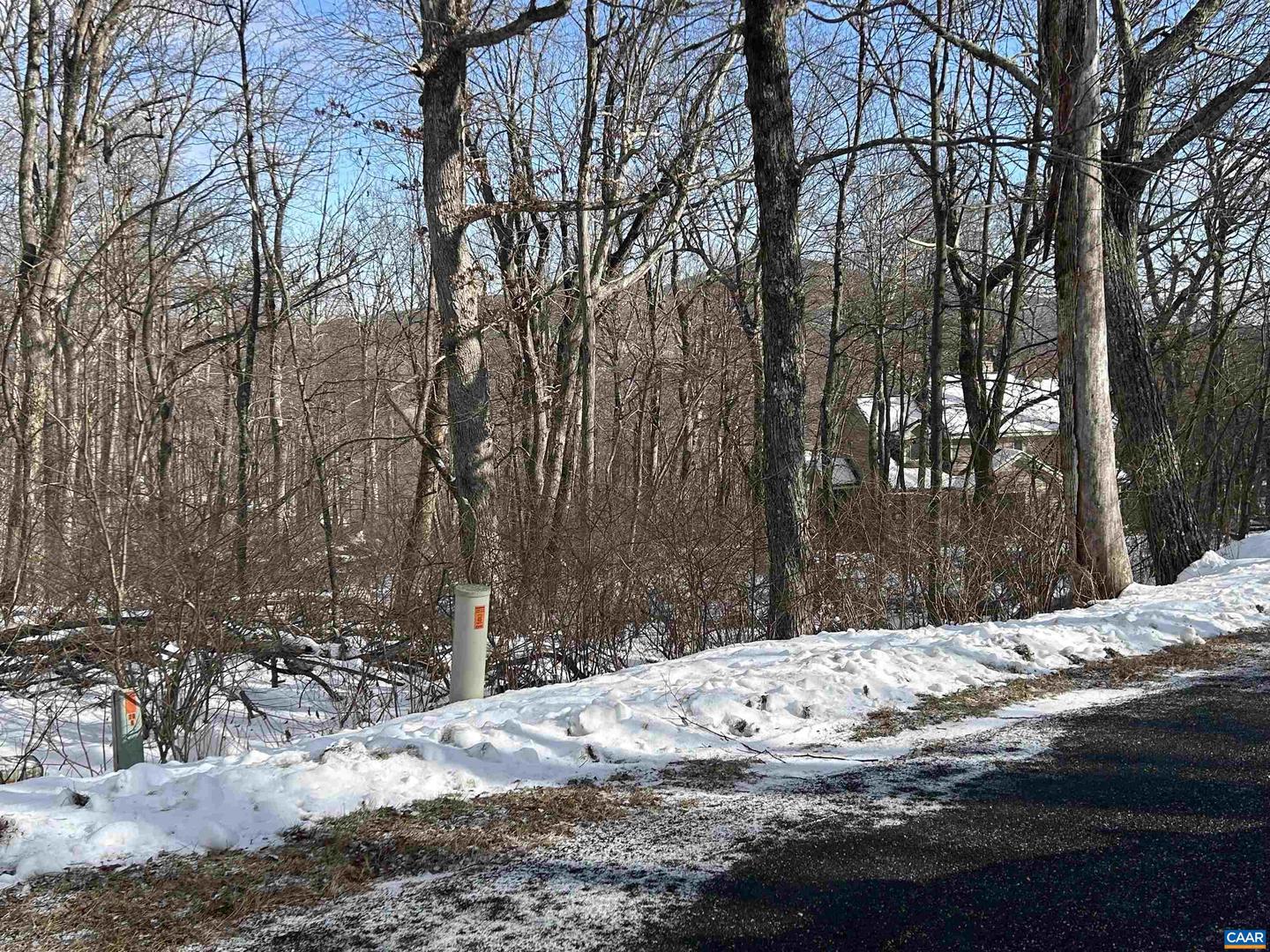 25 POLL AXE LN, WINTERGREEN RESORT, Virginia 22967, ,Land,For sale,25 POLL AXE LN,671959 MLS # 671959 25 POLL AXE LN, WINTERGREEN RESORT, Virginia 22967, ,Land,For sale,25 POLL AXE LN,671959 MLS # 671959