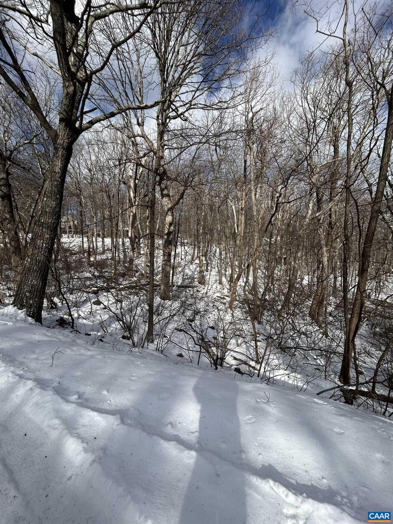 25 POLL AXE LN, WINTERGREEN RESORT, Virginia 22967, ,Land,For sale,25 POLL AXE LN,671959 MLS # 671959 25 POLL AXE LN, WINTERGREEN RESORT, Virginia 22967, ,Land,For sale,25 POLL AXE LN,671959 MLS # 671959