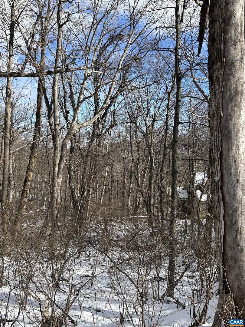 25 POLL AXE LN, WINTERGREEN RESORT, Virginia 22967, ,Land,For sale,25 POLL AXE LN,671959 MLS # 671959 25 POLL AXE LN, WINTERGREEN RESORT, Virginia 22967, ,Land,For sale,25 POLL AXE LN,671959 MLS # 671959