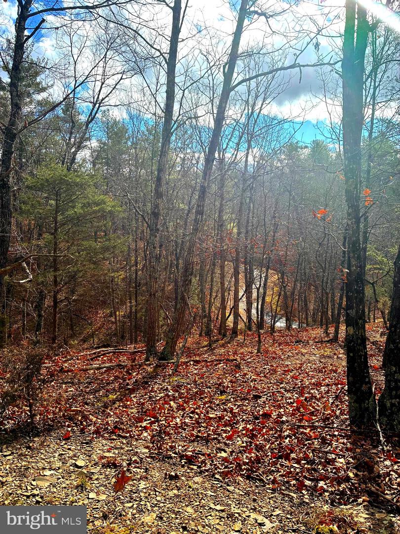 KING ST, BASYE, Virginia 22810, ,Land,For sale,KING ST,VASH2013230 MLS # VASH2013230 KING ST, BASYE, Virginia 22810, ,Land,For sale,KING ST,VASH2013230 MLS # VASH2013230