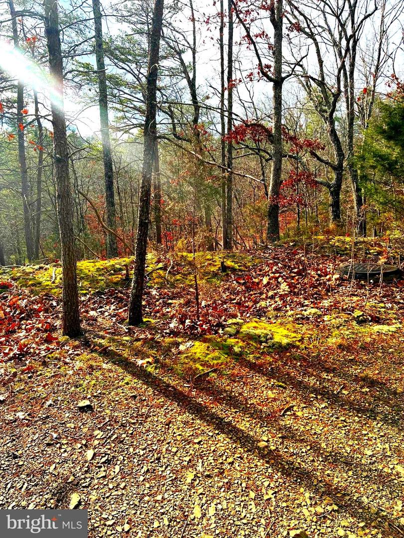 KING ST, BASYE, Virginia 22810, ,Land,For sale,KING ST,VASH2013230 MLS # VASH2013230 KING ST, BASYE, Virginia 22810, ,Land,For sale,KING ST,VASH2013230 MLS # VASH2013230