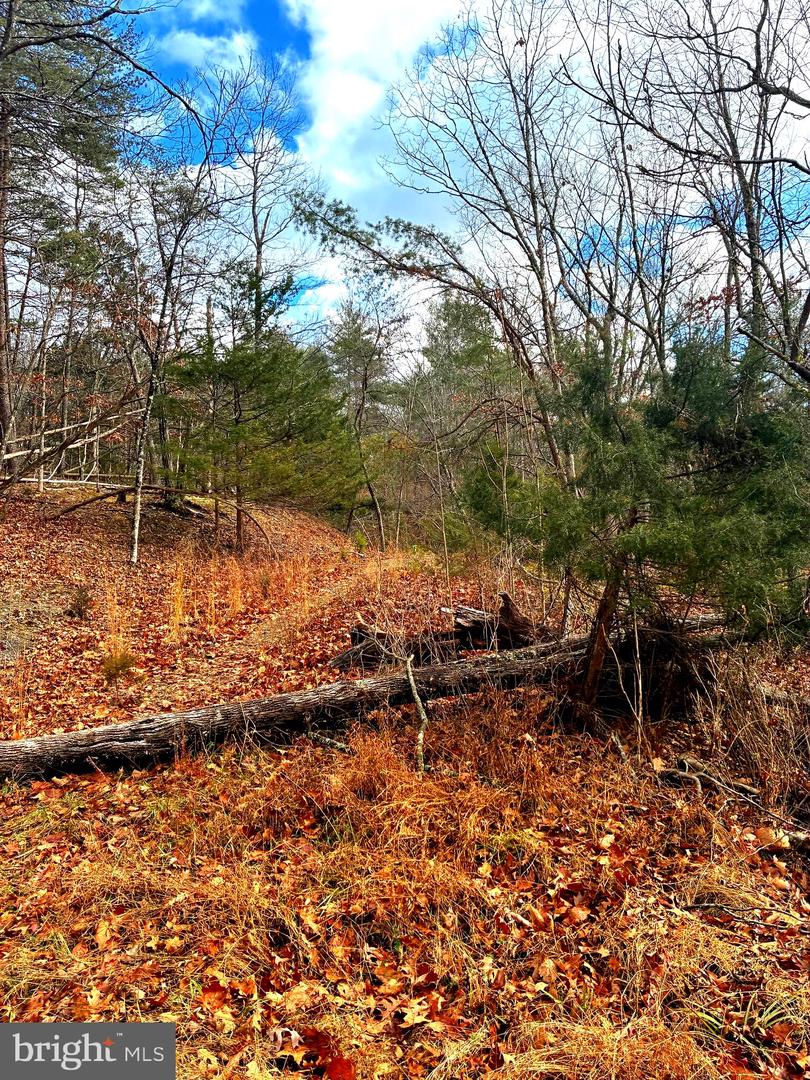 KING ST, BASYE, Virginia 22810, ,Land,For sale,KING ST,VASH2013230 MLS # VASH2013230 KING ST, BASYE, Virginia 22810, ,Land,For sale,KING ST,VASH2013230 MLS # VASH2013230