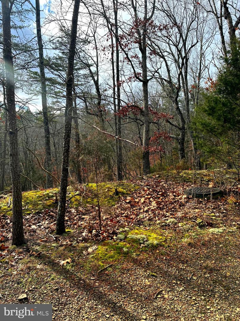 KING ST, BASYE, Virginia 22810, ,Land,For sale,KING ST,VASH2013230 MLS # VASH2013230 KING ST, BASYE, Virginia 22810, ,Land,For sale,KING ST,VASH2013230 MLS # VASH2013230