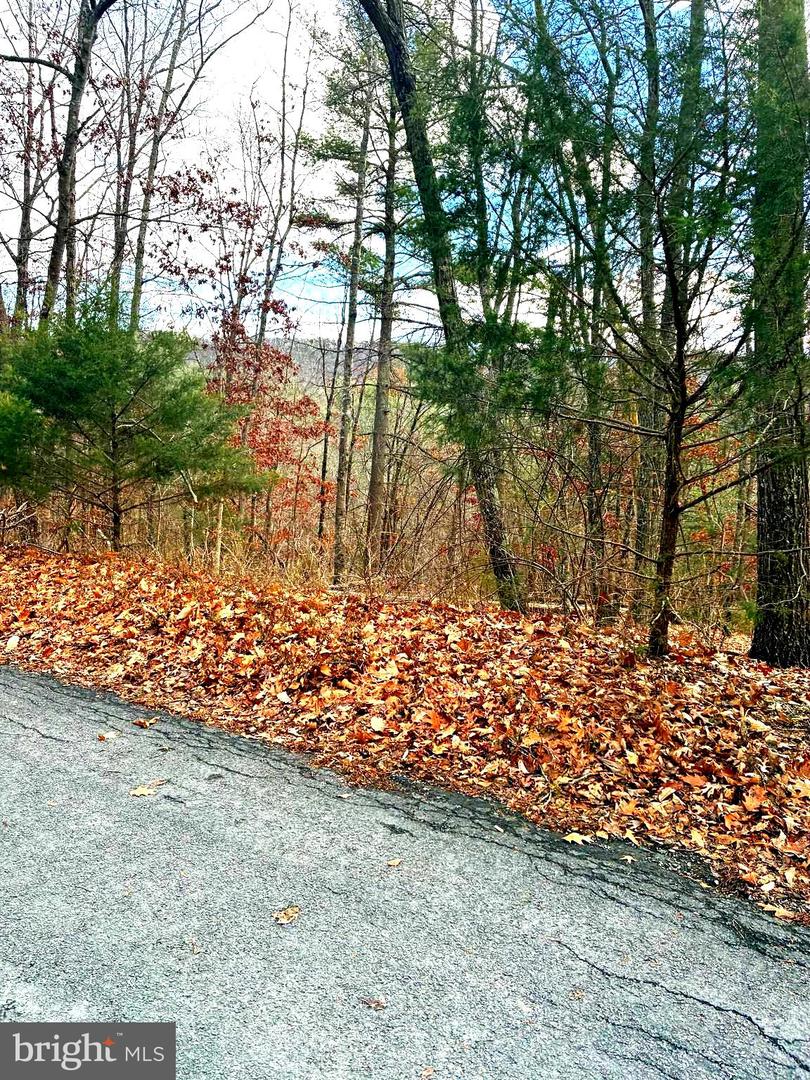 SPITZ LN, BASYE, Virginia 22810, ,Land,For sale,SPITZ LN,VASH2013232 MLS # VASH2013232