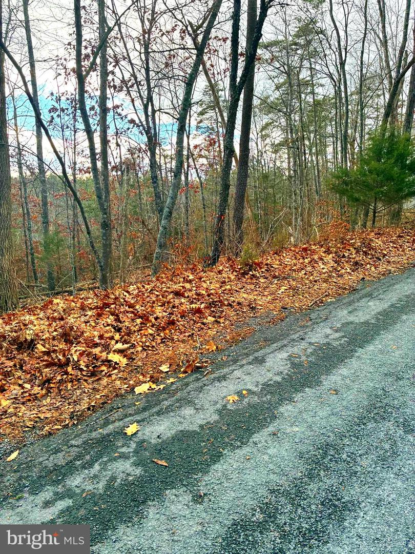 SPITZ LN, BASYE, Virginia 22810, ,Land,For sale,SPITZ LN,VASH2013232 MLS # VASH2013232