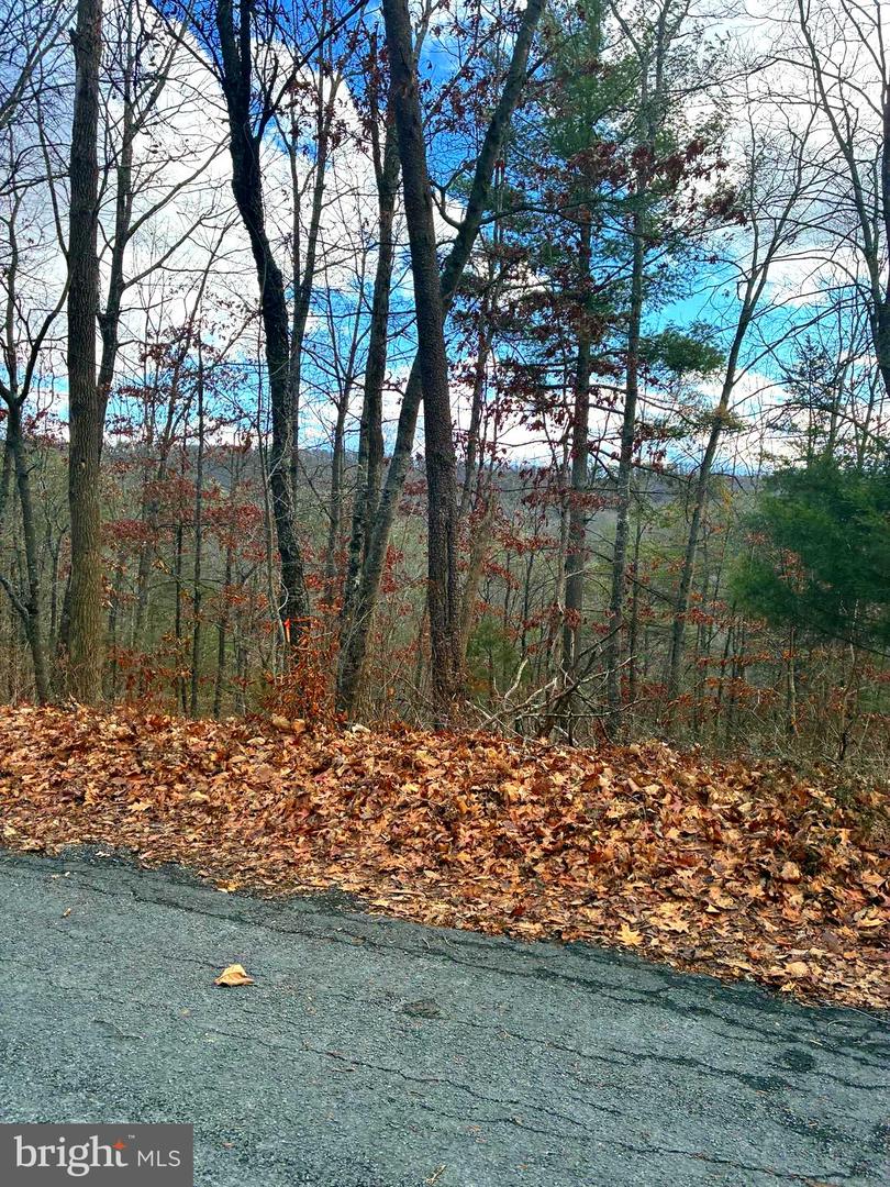 SPITZ LN, BASYE, Virginia 22810, ,Land,For sale,SPITZ LN,VASH2013232 MLS # VASH2013232