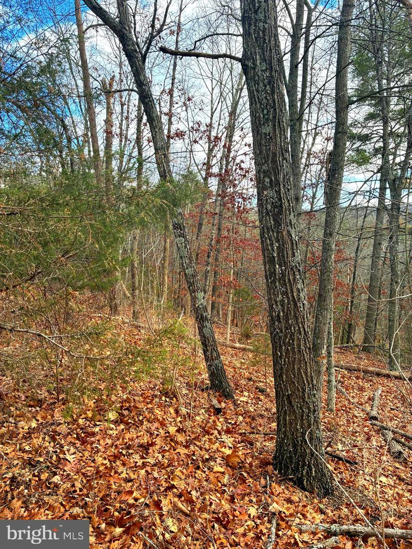 SPITZ LN, BASYE, Virginia 22810, ,Land,For sale,SPITZ LN,VASH2013232 MLS # VASH2013232