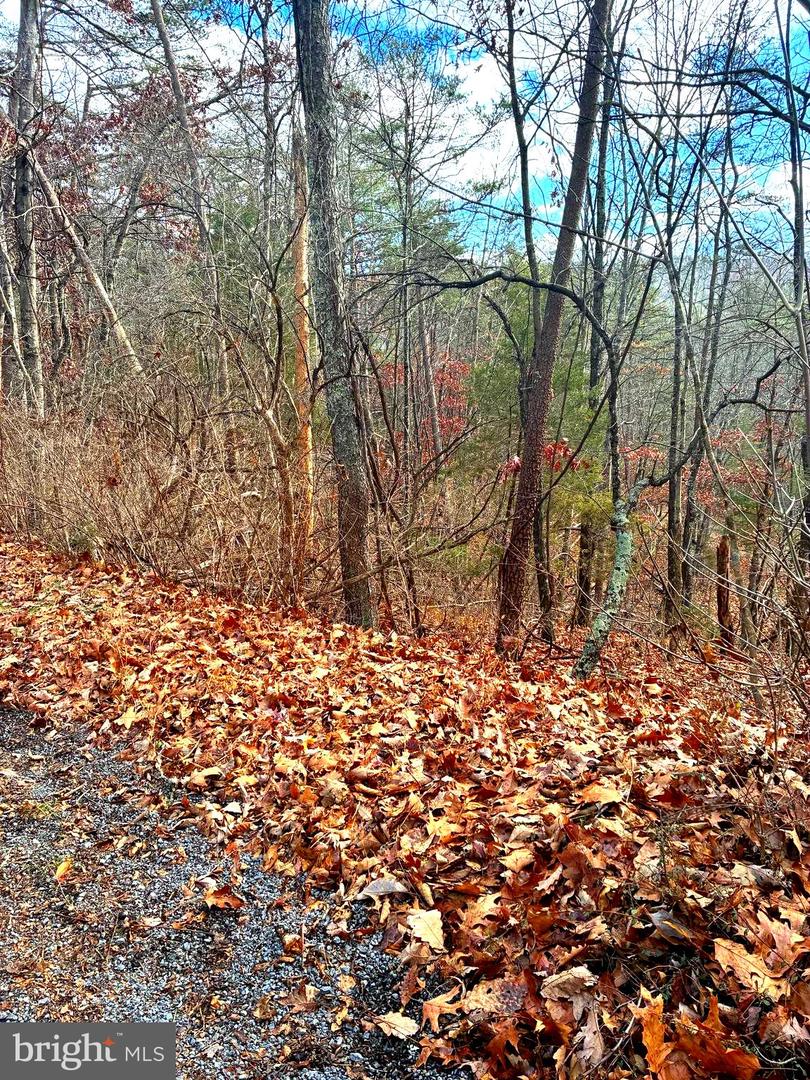 SPITZ LN, BASYE, Virginia 22810, ,Land,For sale,SPITZ LN,VASH2013232 MLS # VASH2013232