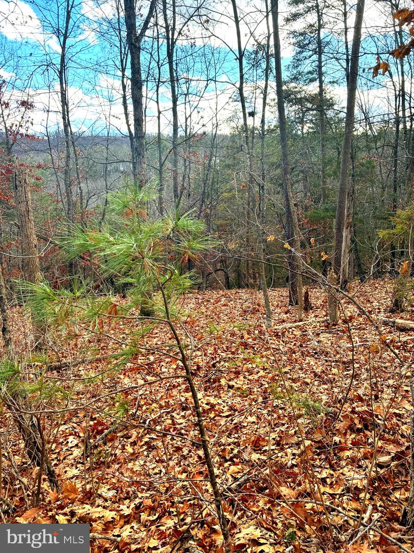 SPITZ LN, BASYE, Virginia 22810, ,Land,For sale,SPITZ LN,VASH2013232 MLS # VASH2013232