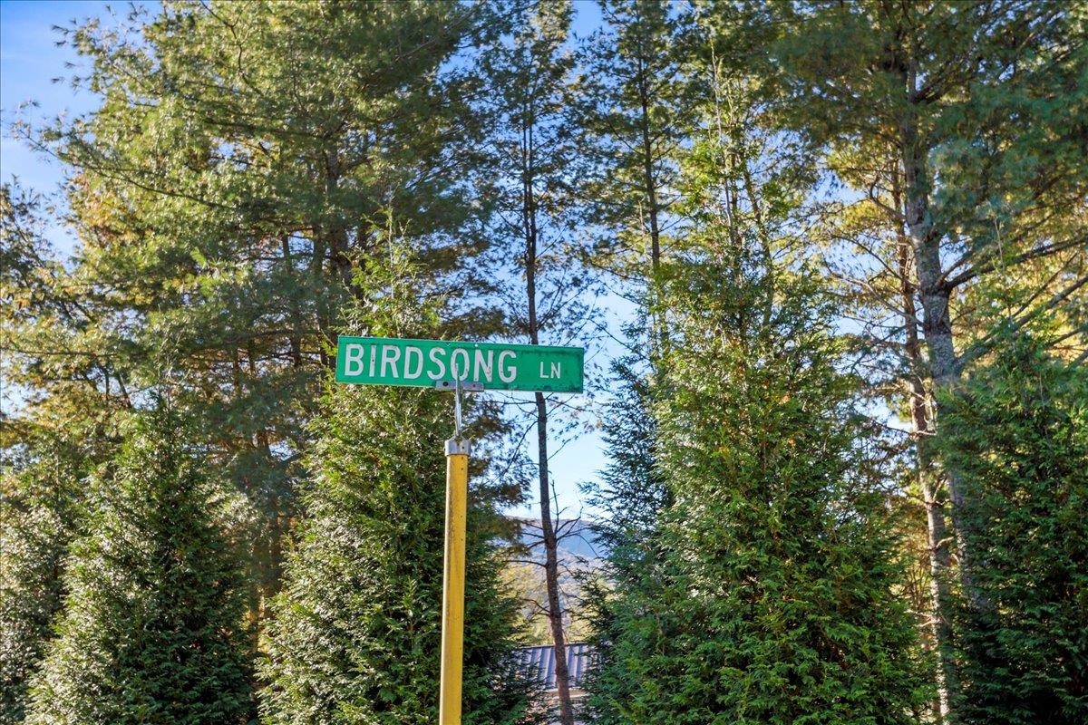 40 BIRDSONG LN, EDINBURG, Virginia 22824, 4 Bedrooms Bedrooms, ,3 BathroomsBathrooms,Residential,40 BIRDSONG LN,671950 MLS # 671950