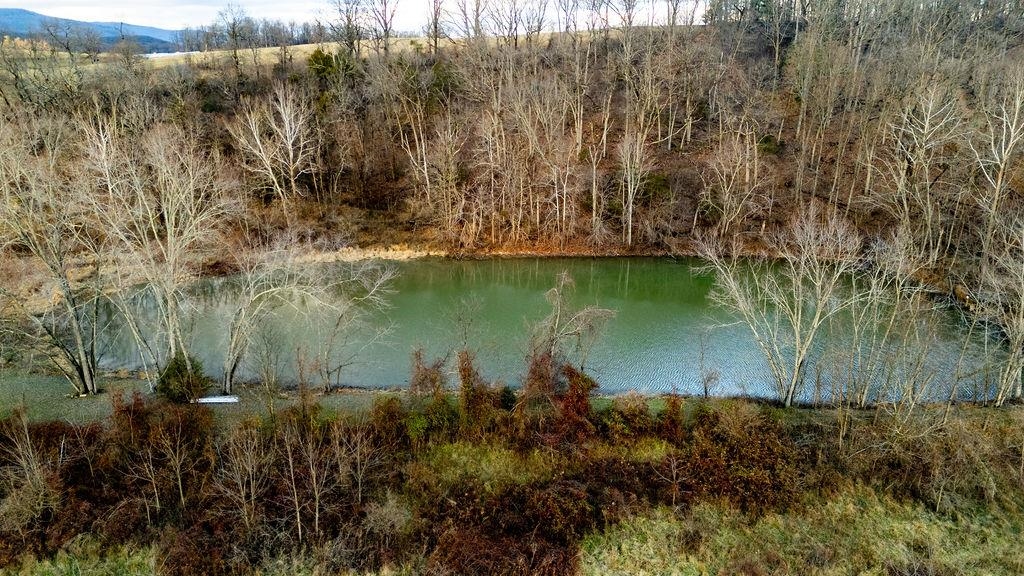 339 BUFFALO BRANCH LN, SWOOPE, Virginia 24479, 4 Bedrooms Bedrooms, ,1 BathroomBathrooms,Residential,339 BUFFALO BRANCH LN,671952 MLS # 671952