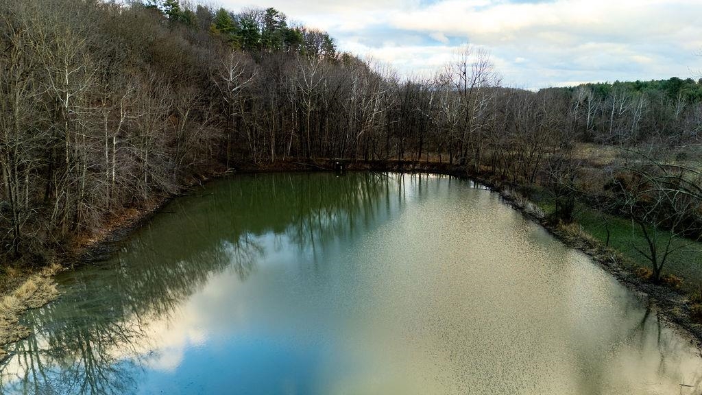 339 BUFFALO BRANCH LN, SWOOPE, Virginia 24479, 4 Bedrooms Bedrooms, ,1 BathroomBathrooms,Residential,339 BUFFALO BRANCH LN,671952 MLS # 671952