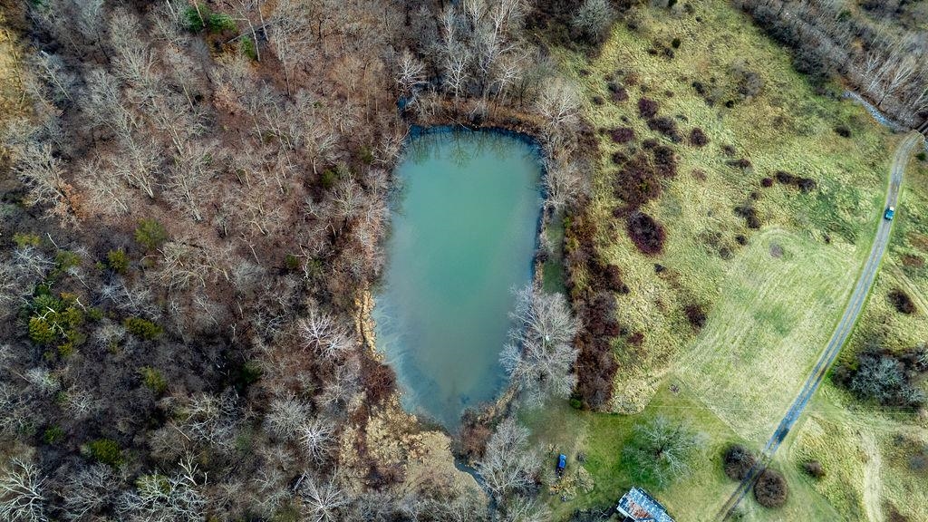 339 BUFFALO BRANCH LN, SWOOPE, Virginia 24479, 4 Bedrooms Bedrooms, ,1 BathroomBathrooms,Residential,339 BUFFALO BRANCH LN,671952 MLS # 671952