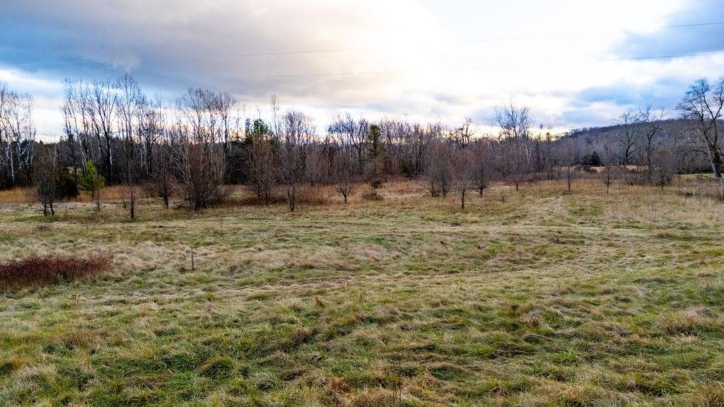 339 BUFFALO BRANCH LN, SWOOPE, Virginia 24479, 4 Bedrooms Bedrooms, ,1 BathroomBathrooms,Residential,339 BUFFALO BRANCH LN,671952 MLS # 671952