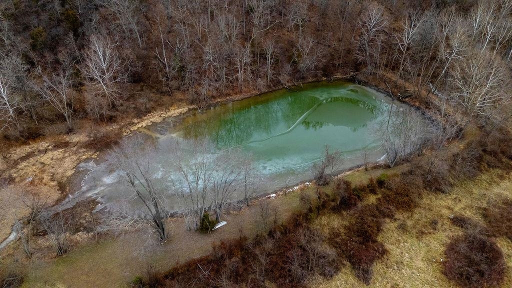 339 BUFFALO BRANCH LN, SWOOPE, Virginia 24479, 4 Bedrooms Bedrooms, ,1 BathroomBathrooms,Residential,339 BUFFALO BRANCH LN,671952 MLS # 671952