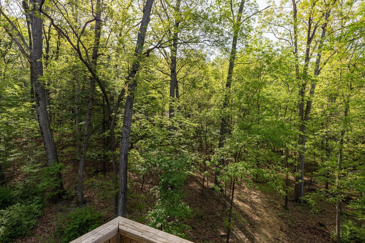 1176B NELSON DR, HARRISONBURG, Virginia 22801, 3 Bedrooms Bedrooms, ,2 BathroomsBathrooms,Residential,1176B NELSON DR,671953 MLS # 671953