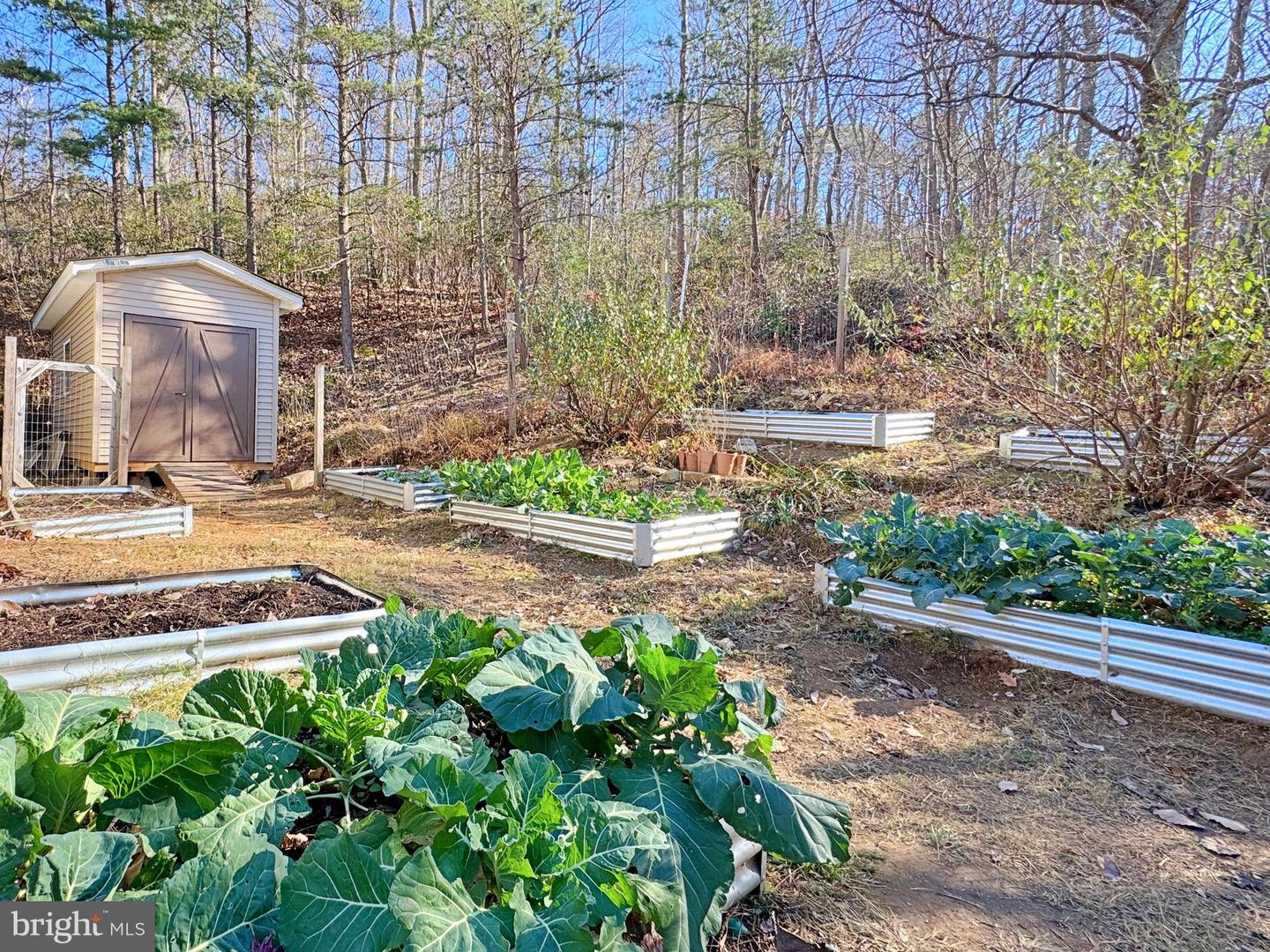 4119 BULL RUN MOUNTAIN RD, THE PLAINS, Virginia 20198, 3 Bedrooms Bedrooms, ,2 BathroomsBathrooms,Residential,For sale,4119 BULL RUN MOUNTAIN RD,VAFQ2019784 MLS # VAFQ2019784