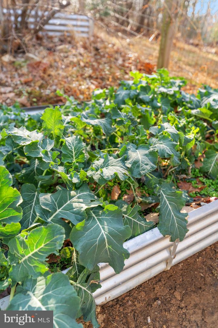 4119 BULL RUN MOUNTAIN RD, THE PLAINS, Virginia 20198, 3 Bedrooms Bedrooms, ,2 BathroomsBathrooms,Residential,For sale,4119 BULL RUN MOUNTAIN RD,VAFQ2019784 MLS # VAFQ2019784