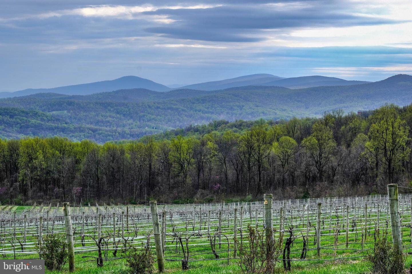 928 HIGH TOP RD, LINDEN, Virginia 22642, 3 Bedrooms Bedrooms, ,2 BathroomsBathrooms,Residential,For sale,928 HIGH TOP RD,VAWR2012978 MLS # VAWR2012978