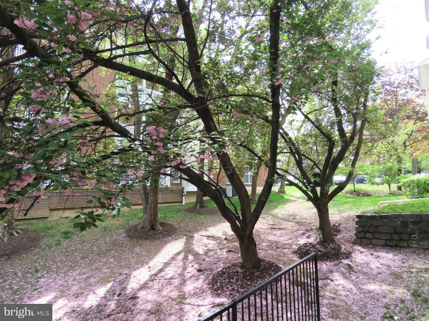 1532 LINCOLN WAY #203, MCLEAN, Virginia 22102, 1 Bedroom Bedrooms, ,1 BathroomBathrooms,Residential,For sale,1532 LINCOLN WAY #203,VAFX2282860 MLS # VAFX2282860