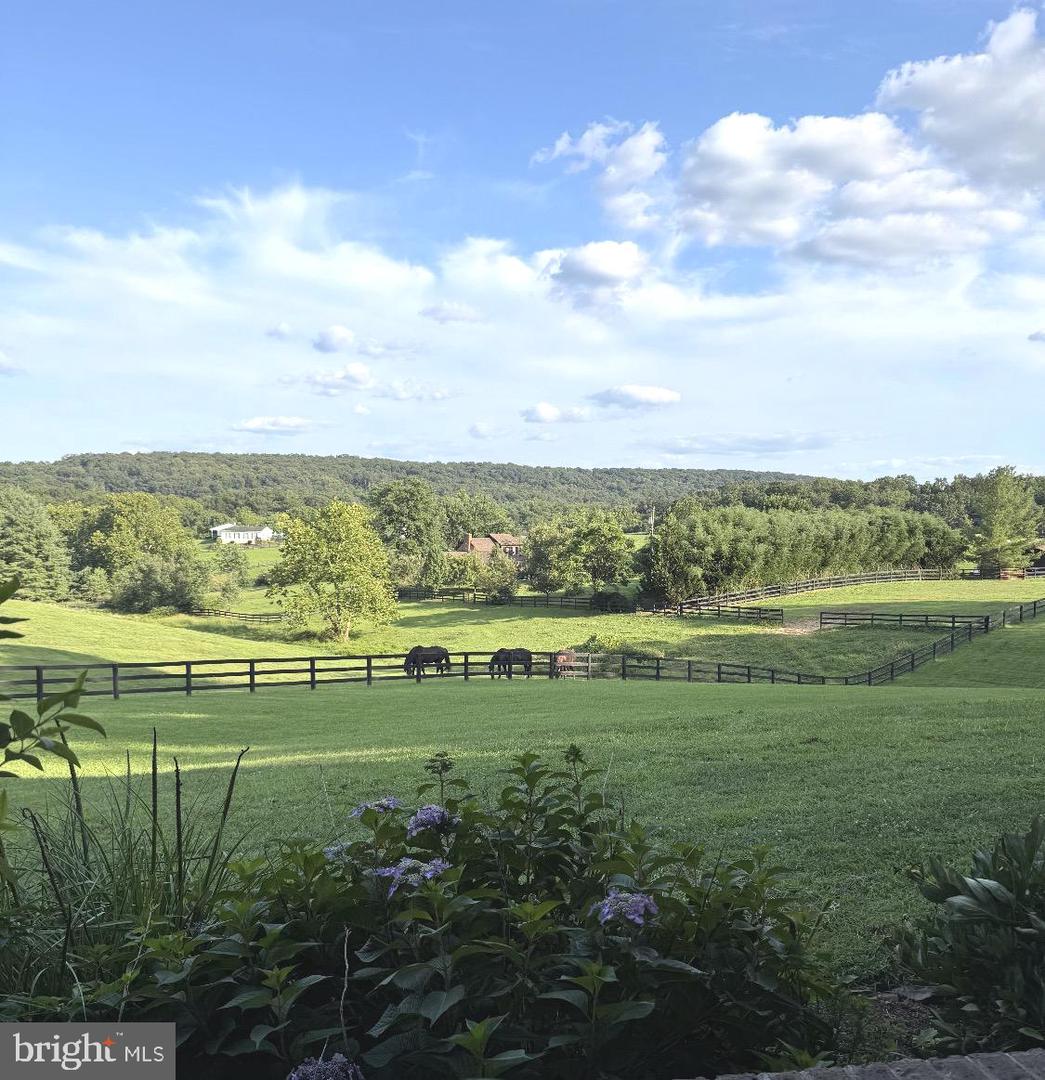 521 HIDDEN VALLEY LN, WINCHESTER, Virginia 22603, 3 Bedrooms Bedrooms, ,2 BathroomsBathrooms,Residential,For sale,521 HIDDEN VALLEY LN,VAFV2038536 MLS # VAFV2038536