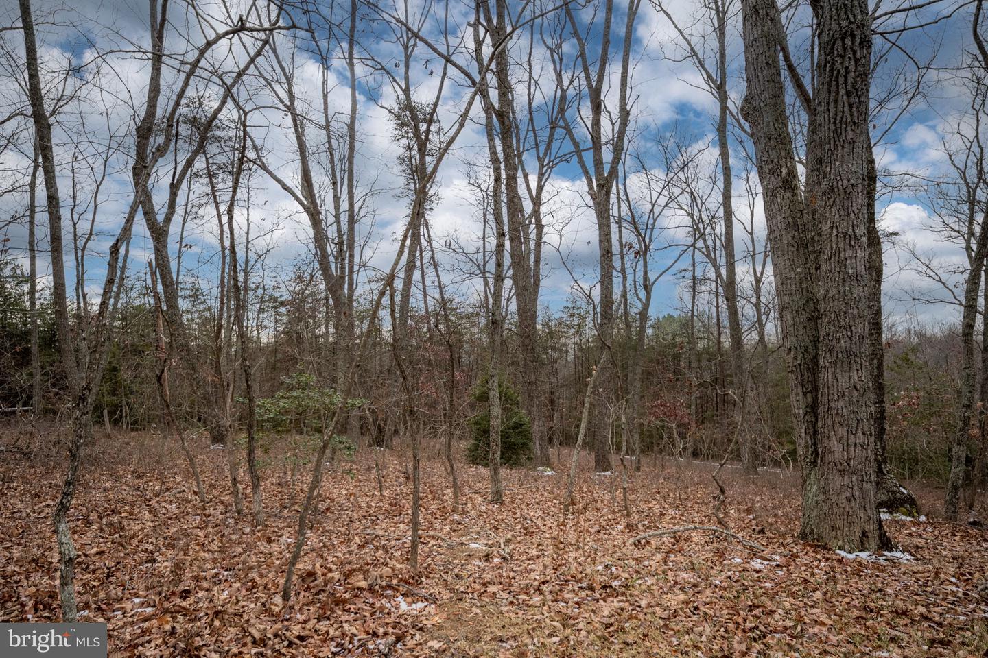 28270 TATUM RD, UNIONVILLE, Virginia 22567, 3 Bedrooms Bedrooms, ,2 BathroomsBathrooms,Residential,For sale,28270 TATUM RD,VAOR2012994 MLS # VAOR2012994