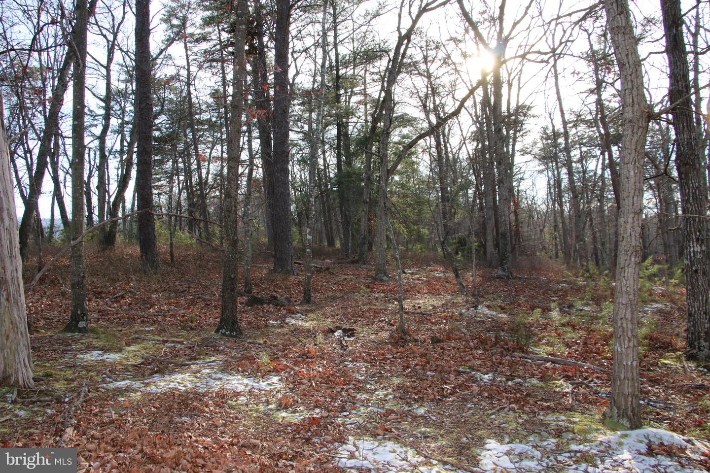 JOHN MARSHALL HWY, STRASBURG, Virginia 22657, ,Land,For sale,JOHN MARSHALL HWY,VASH2013186 MLS # VASH2013186