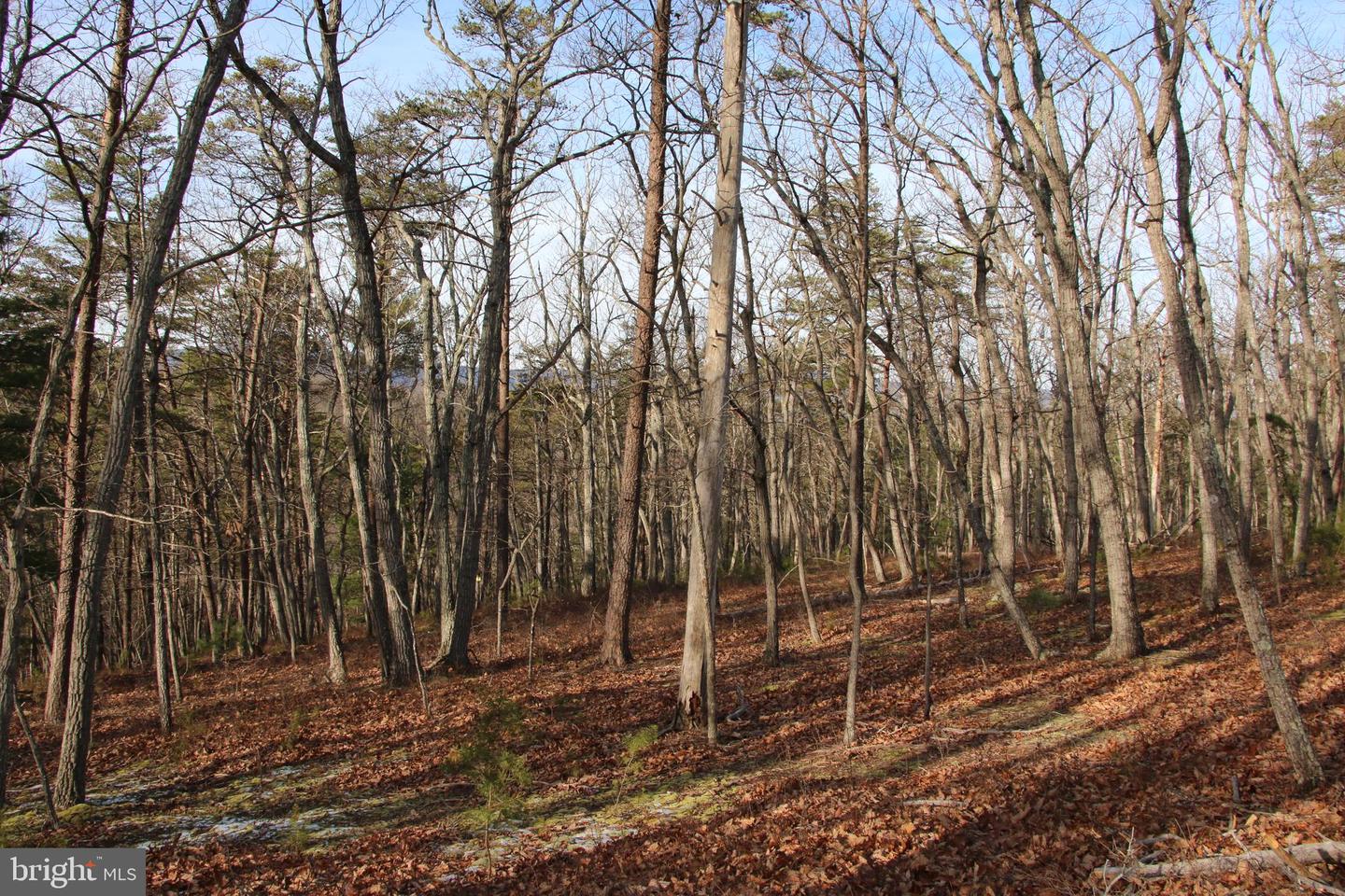 JOHN MARSHALL HWY, STRASBURG, Virginia 22657, ,Land,For sale,JOHN MARSHALL HWY,VASH2013186 MLS # VASH2013186