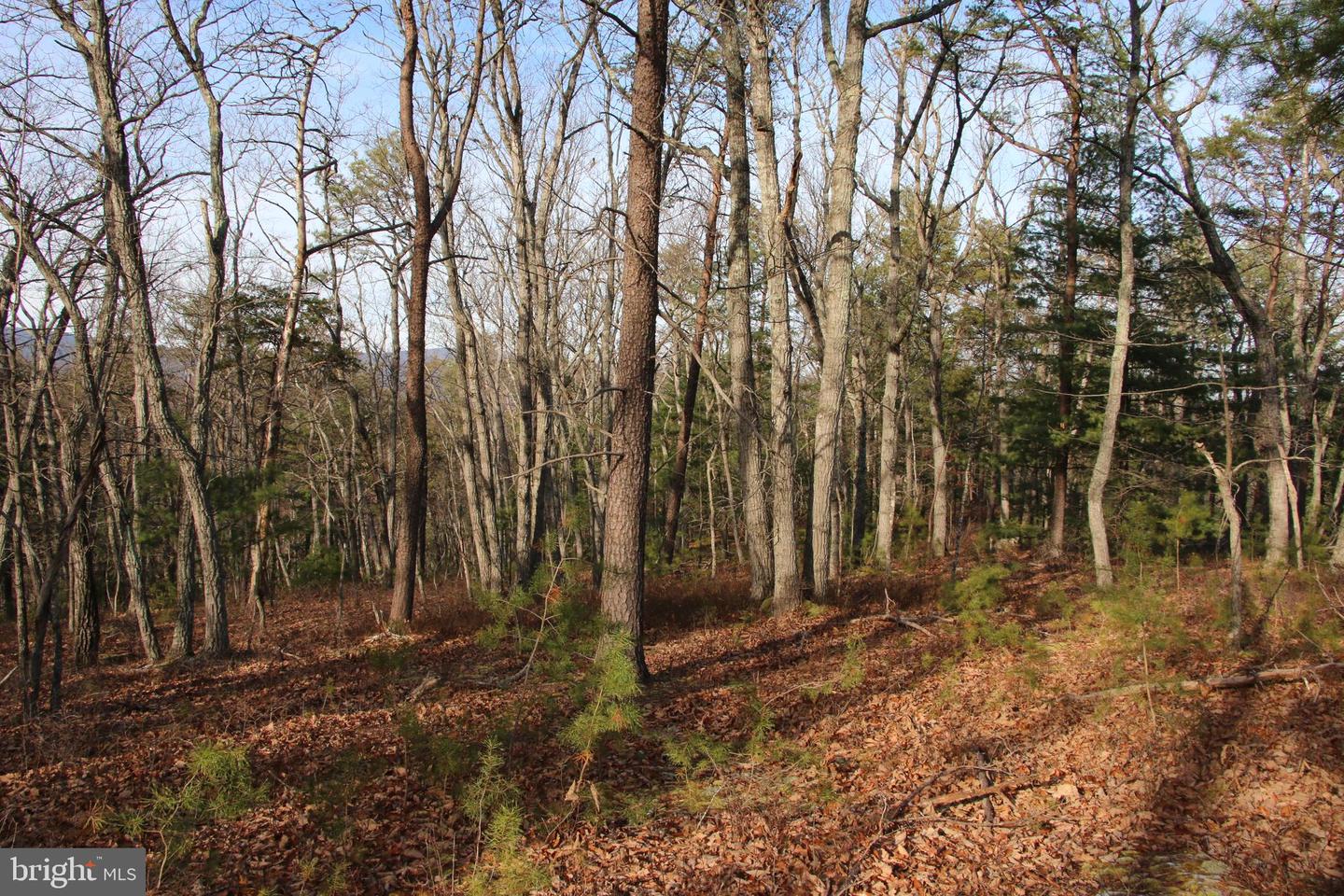 JOHN MARSHALL HWY, STRASBURG, Virginia 22657, ,Land,For sale,JOHN MARSHALL HWY,VASH2013186 MLS # VASH2013186