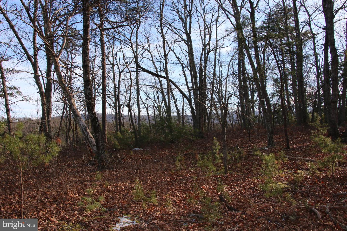 JOHN MARSHALL HWY, STRASBURG, Virginia 22657, ,Land,For sale,JOHN MARSHALL HWY,VASH2013186 MLS # VASH2013186