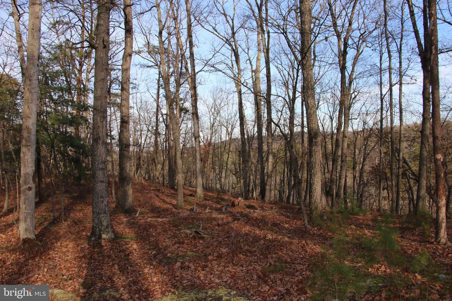 JOHN MARSHALL HWY, STRASBURG, Virginia 22657, ,Land,For sale,JOHN MARSHALL HWY,VASH2013186 MLS # VASH2013186