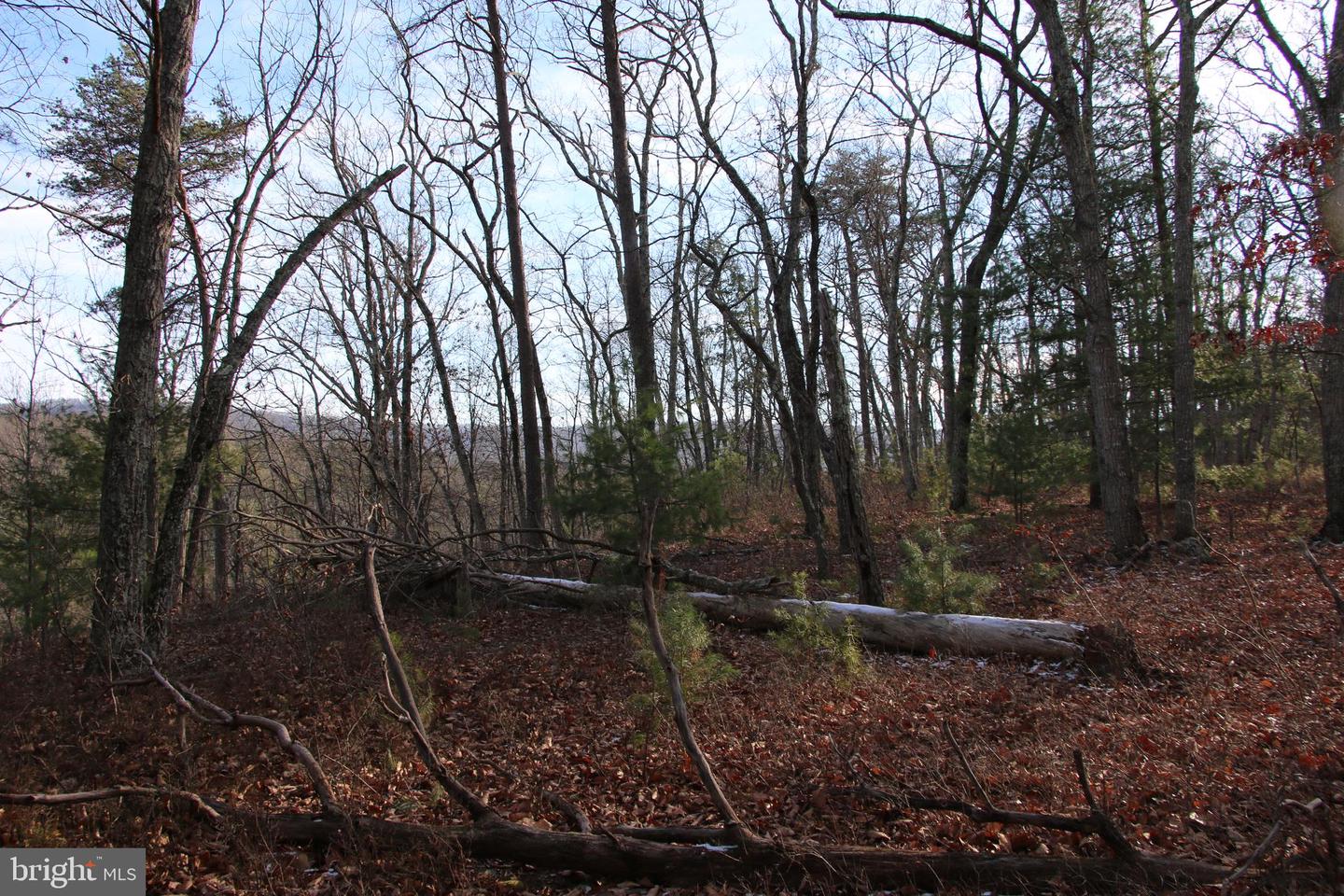 JOHN MARSHALL HWY, STRASBURG, Virginia 22657, ,Land,For sale,JOHN MARSHALL HWY,VASH2013186 MLS # VASH2013186