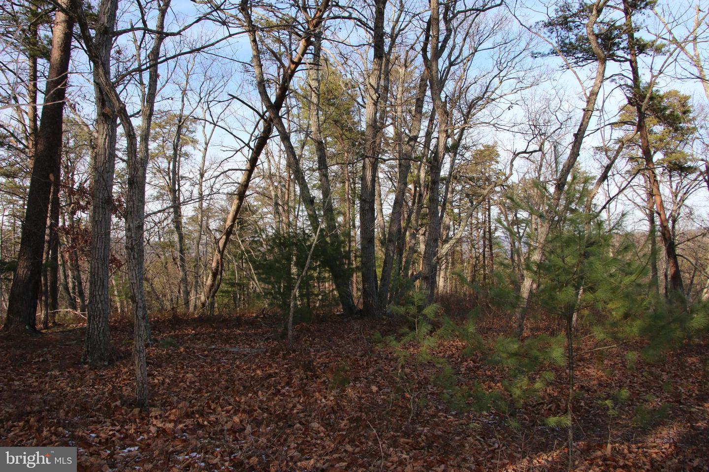 JOHN MARSHALL HWY, STRASBURG, Virginia 22657, ,Land,For sale,JOHN MARSHALL HWY,VASH2013186 MLS # VASH2013186