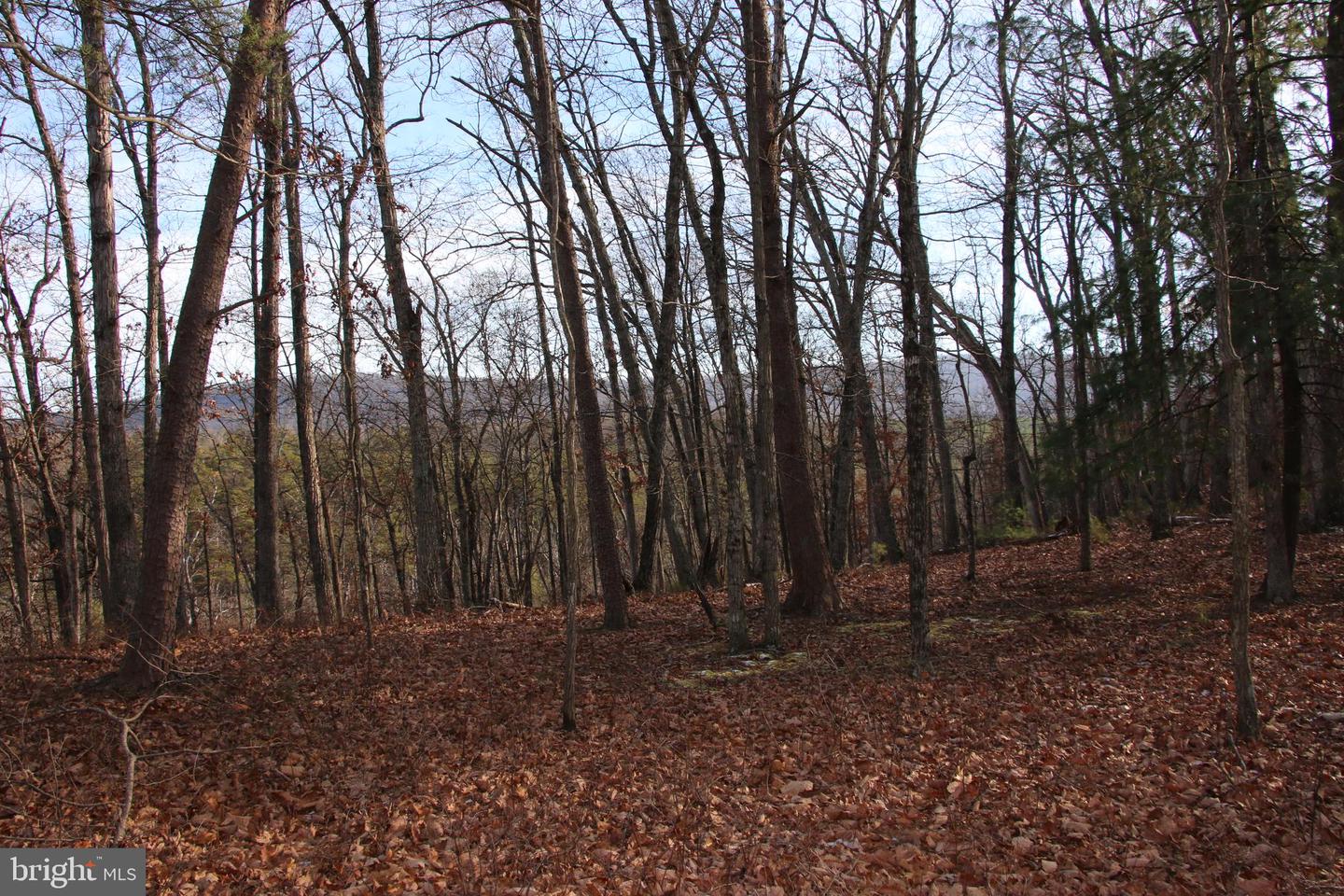 JOHN MARSHALL HWY, STRASBURG, Virginia 22657, ,Land,For sale,JOHN MARSHALL HWY,VASH2013186 MLS # VASH2013186