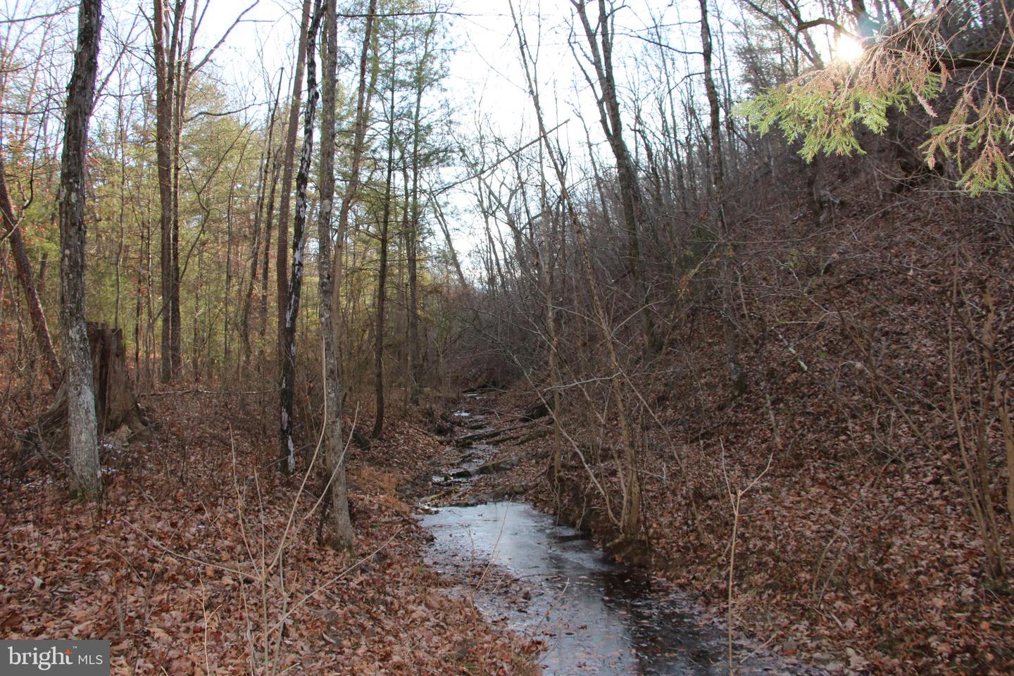 JOHN MARSHALL HWY, STRASBURG, Virginia 22657, ,Land,For sale,JOHN MARSHALL HWY,VASH2013186 MLS # VASH2013186