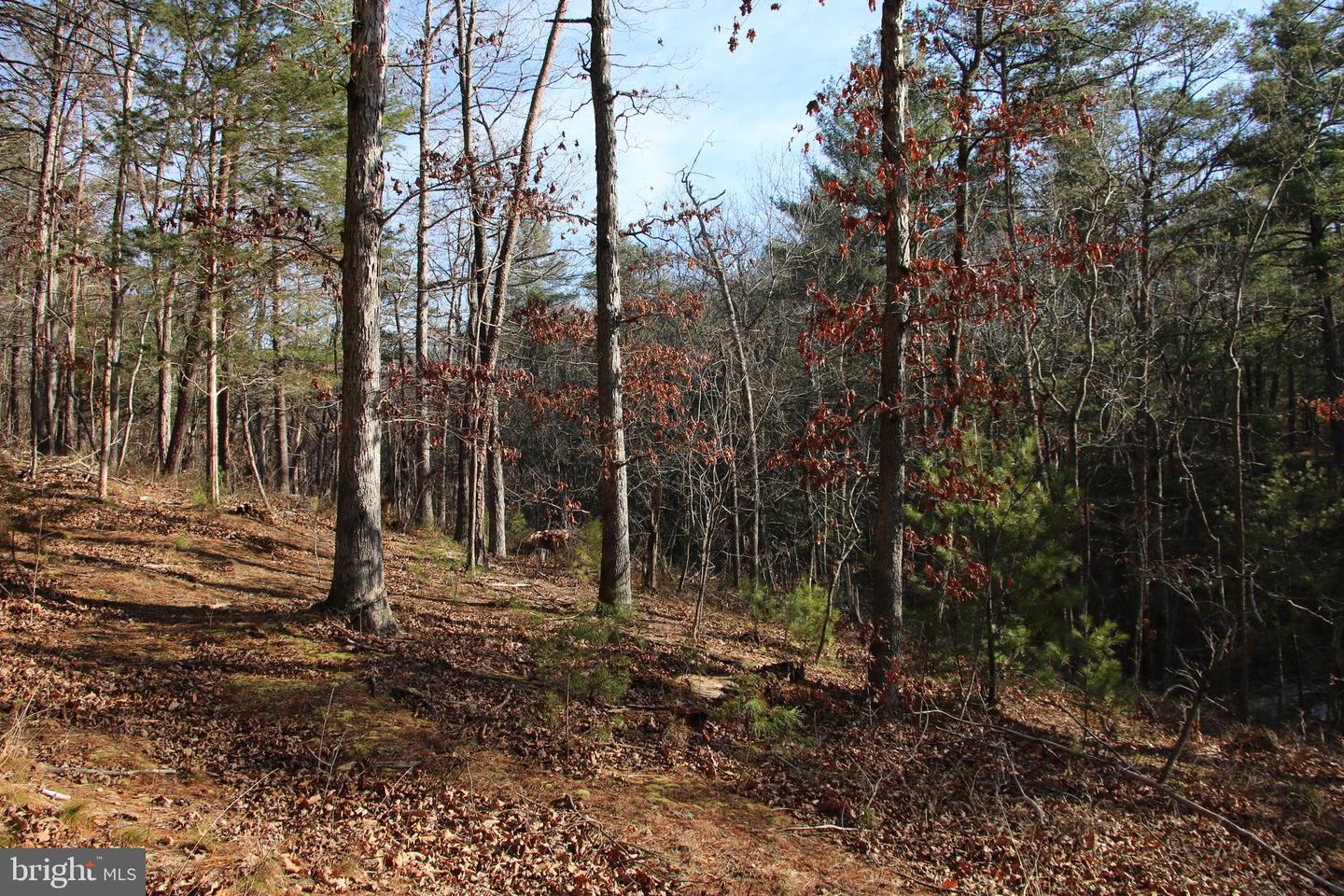 JOHN MARSHALL HWY, STRASBURG, Virginia 22657, ,Land,For sale,JOHN MARSHALL HWY,VASH2013186 MLS # VASH2013186