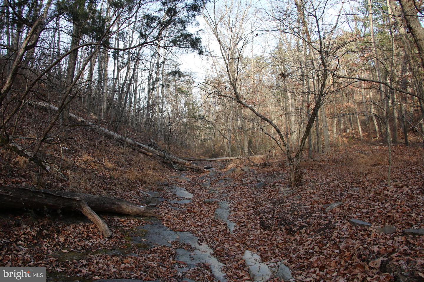 JOHN MARSHALL HWY, STRASBURG, Virginia 22657, ,Land,For sale,JOHN MARSHALL HWY,VASH2013186 MLS # VASH2013186