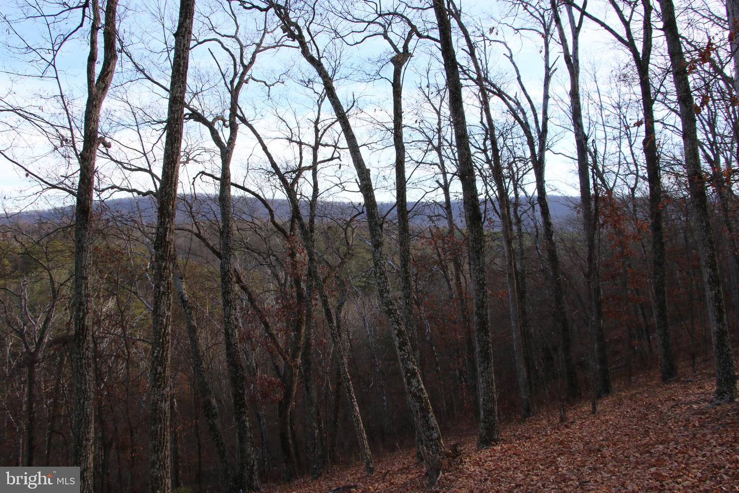 JOHN MARSHALL HWY, STRASBURG, Virginia 22657, ,Land,For sale,JOHN MARSHALL HWY,VASH2013186 MLS # VASH2013186