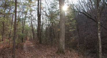 JOHN MARSHALL HWY, STRASBURG, Virginia 22657, ,Land,For sale,JOHN MARSHALL HWY,VASH2013186 MLS # VASH2013186