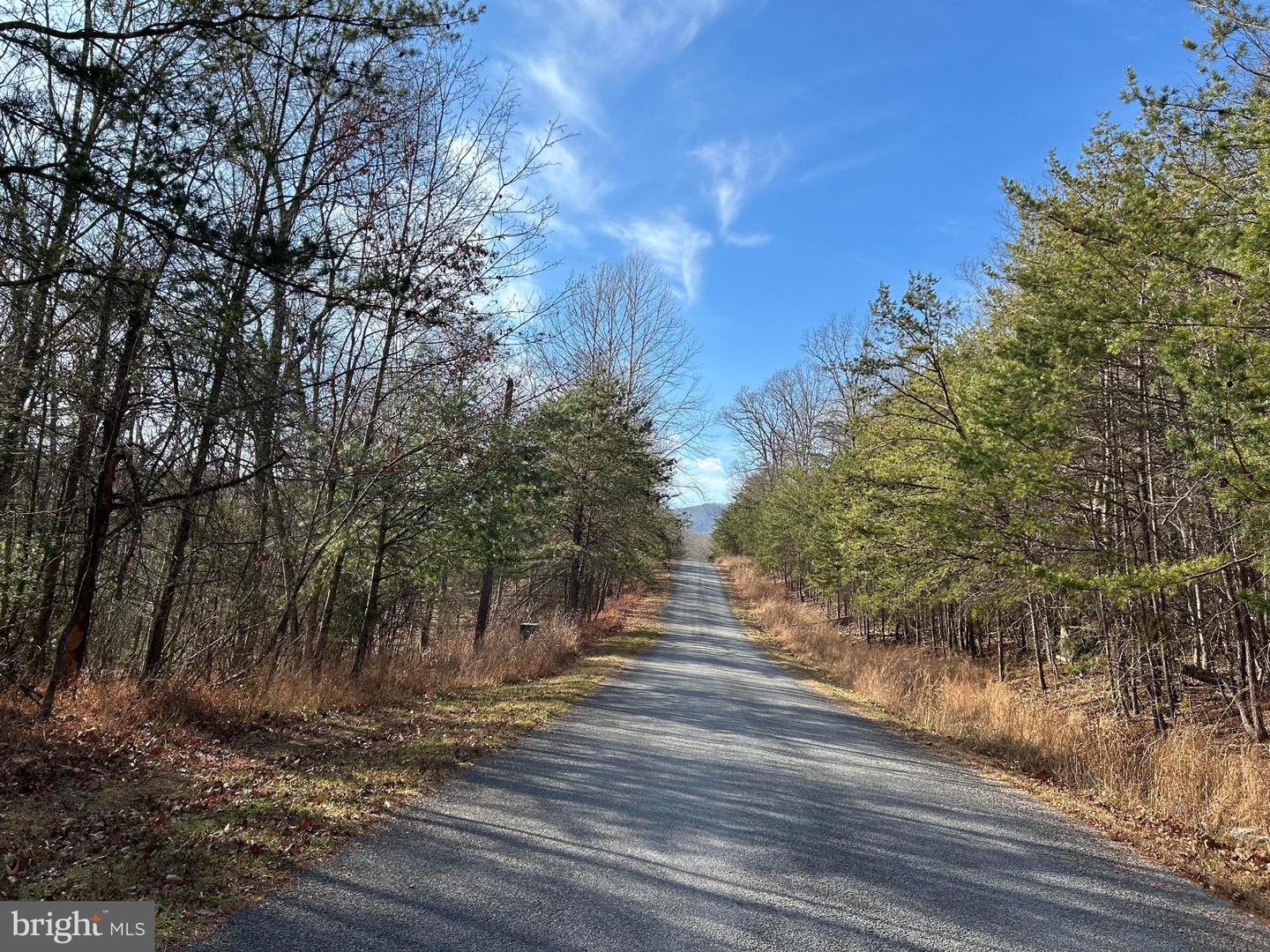 LOT U TWIN OAKS DRIVE, BENTONVILLE, Virginia 22610, ,Land,For sale,LOT U TWIN OAKS DRIVE,VAWR2012974 MLS # VAWR2012974