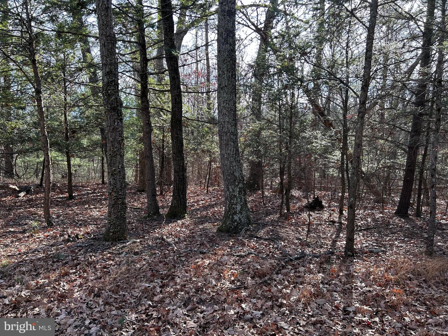 LOT U TWIN OAKS DRIVE, BENTONVILLE, Virginia 22610, ,Land,For sale,LOT U TWIN OAKS DRIVE,VAWR2012974 MLS # VAWR2012974