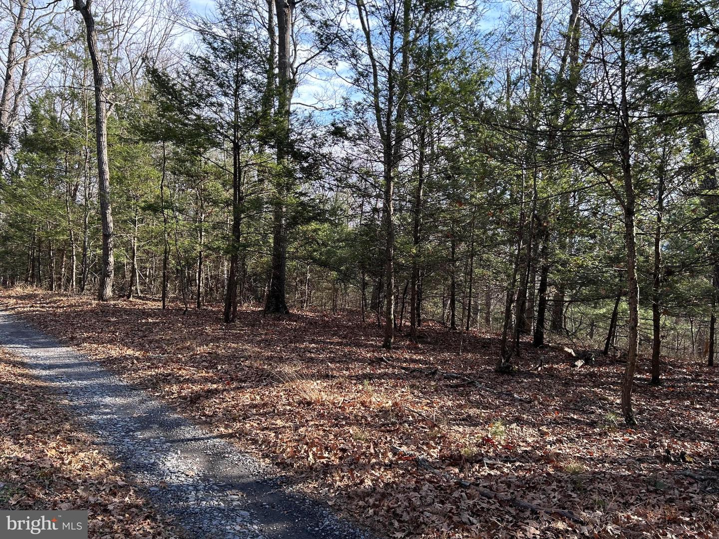 LOT U TWIN OAKS DRIVE, BENTONVILLE, Virginia 22610, ,Land,For sale,LOT U TWIN OAKS DRIVE,VAWR2012974 MLS # VAWR2012974