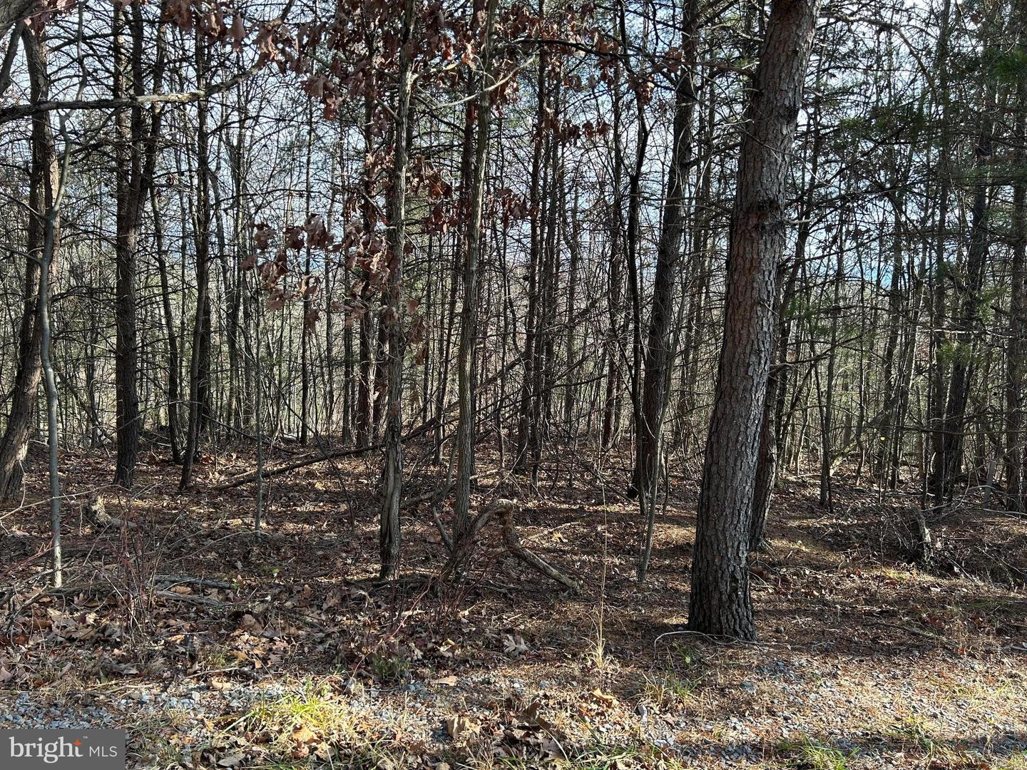 LOT U TWIN OAKS DRIVE, BENTONVILLE, Virginia 22610, ,Land,For sale,LOT U TWIN OAKS DRIVE,VAWR2012974 MLS # VAWR2012974