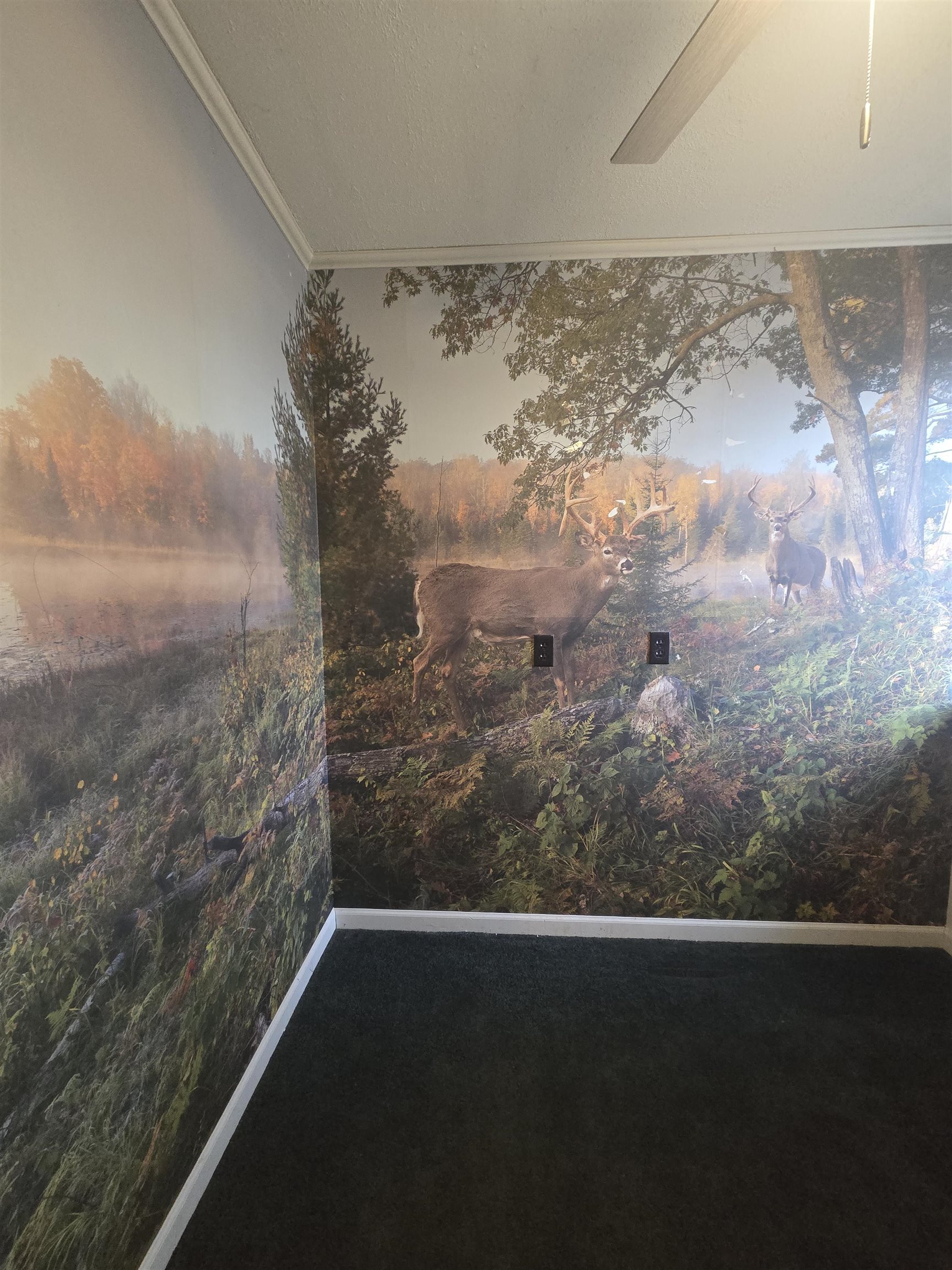 3632 BUFFALO DR, ROCKINGHAM, Virginia 22802, 3 Bedrooms Bedrooms, ,2 BathroomsBathrooms,Residential,3632 BUFFALO DR,671966 MLS # 671966 3632 BUFFALO DR, ROCKINGHAM, Virginia 22802, 3 Bedrooms Bedrooms, ,2 BathroomsBathrooms,Residential,3632 BUFFALO DR,671966 MLS # 671966