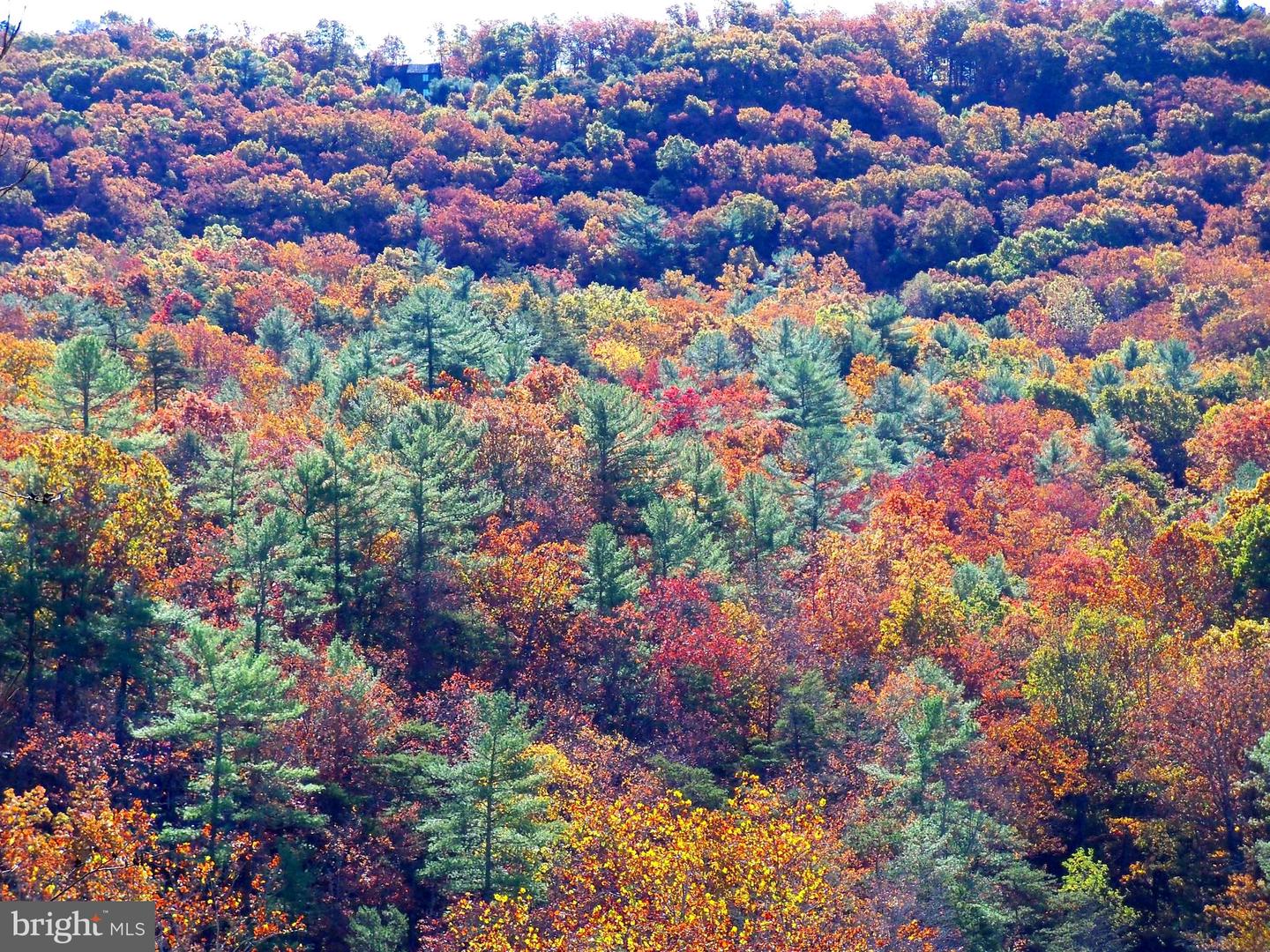 426-30A THE HILL RD RD #L-30, BASYE, Virginia 22810, 2 Bedrooms Bedrooms, ,2 BathroomsBathrooms,Residential,For sale,426-30A THE HILL RD RD #L-30,VASH2012730 MLS # VASH2012730 426-30A THE HILL RD RD #L-30, BASYE, Virginia 22810, 2 Bedrooms Bedrooms, ,2 BathroomsBathrooms,Residential,For sale,426-30A THE HILL RD RD #L-30,VASH2012730 MLS # VASH2012730