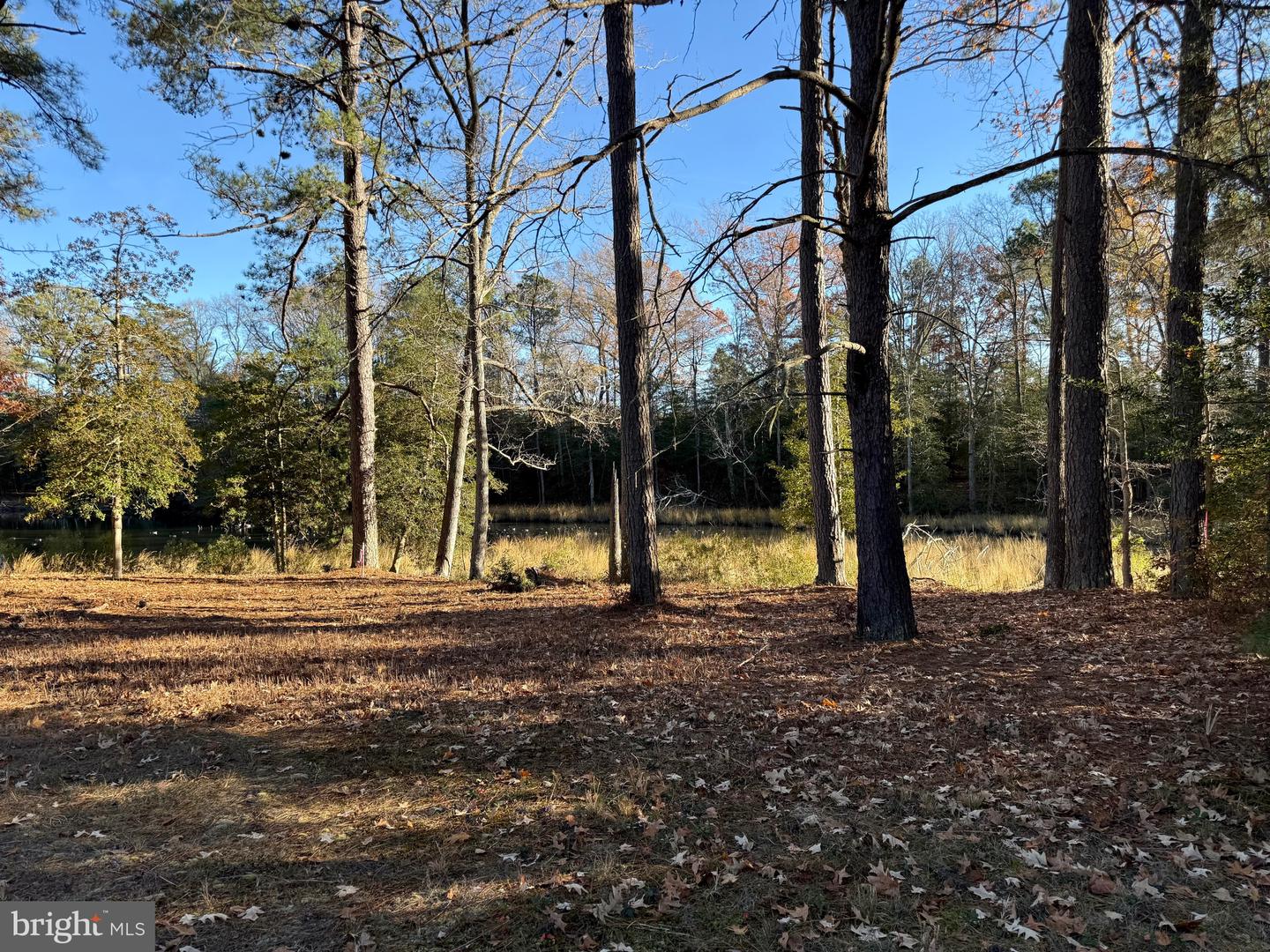 TBD LOT 28 SOUTH GLEBE RD, MONTROSS, Virginia 22520, 3 Bedrooms Bedrooms, ,2 BathroomsBathrooms,Residential,For sale,TBD LOT 28 SOUTH GLEBE RD,VAWE2010232 MLS # VAWE2010232 TBD LOT 28 SOUTH GLEBE RD, MONTROSS, Virginia 22520, 3 Bedrooms Bedrooms, ,2 BathroomsBathrooms,Residential,For sale,TBD LOT 28 SOUTH GLEBE RD,VAWE2010232 MLS # VAWE2010232