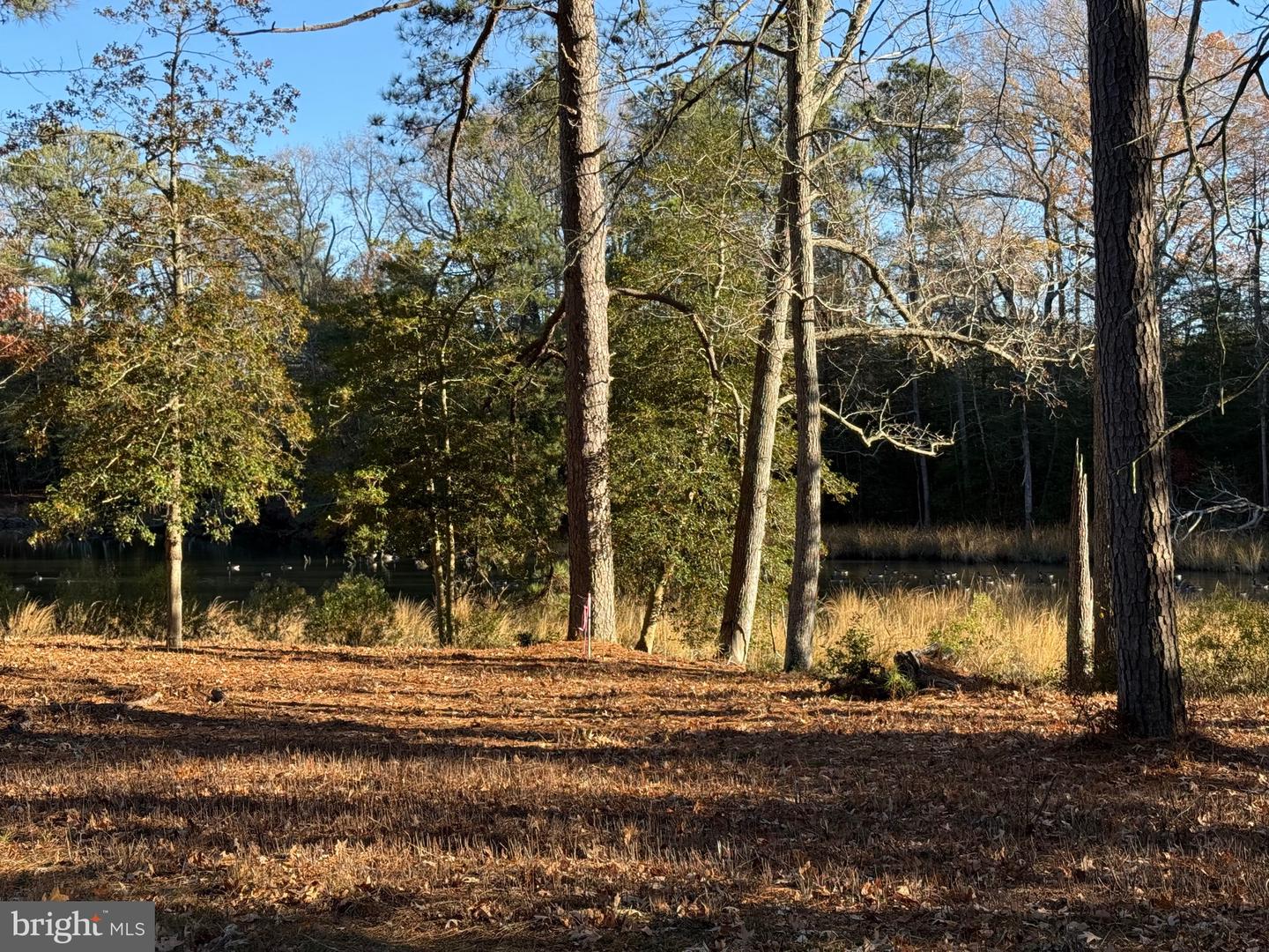 TBD LOT 28 SOUTH GLEBE RD, MONTROSS, Virginia 22520, 3 Bedrooms Bedrooms, ,2 BathroomsBathrooms,Residential,For sale,TBD LOT 28 SOUTH GLEBE RD,VAWE2010232 MLS # VAWE2010232 TBD LOT 28 SOUTH GLEBE RD, MONTROSS, Virginia 22520, 3 Bedrooms Bedrooms, ,2 BathroomsBathrooms,Residential,For sale,TBD LOT 28 SOUTH GLEBE RD,VAWE2010232 MLS # VAWE2010232