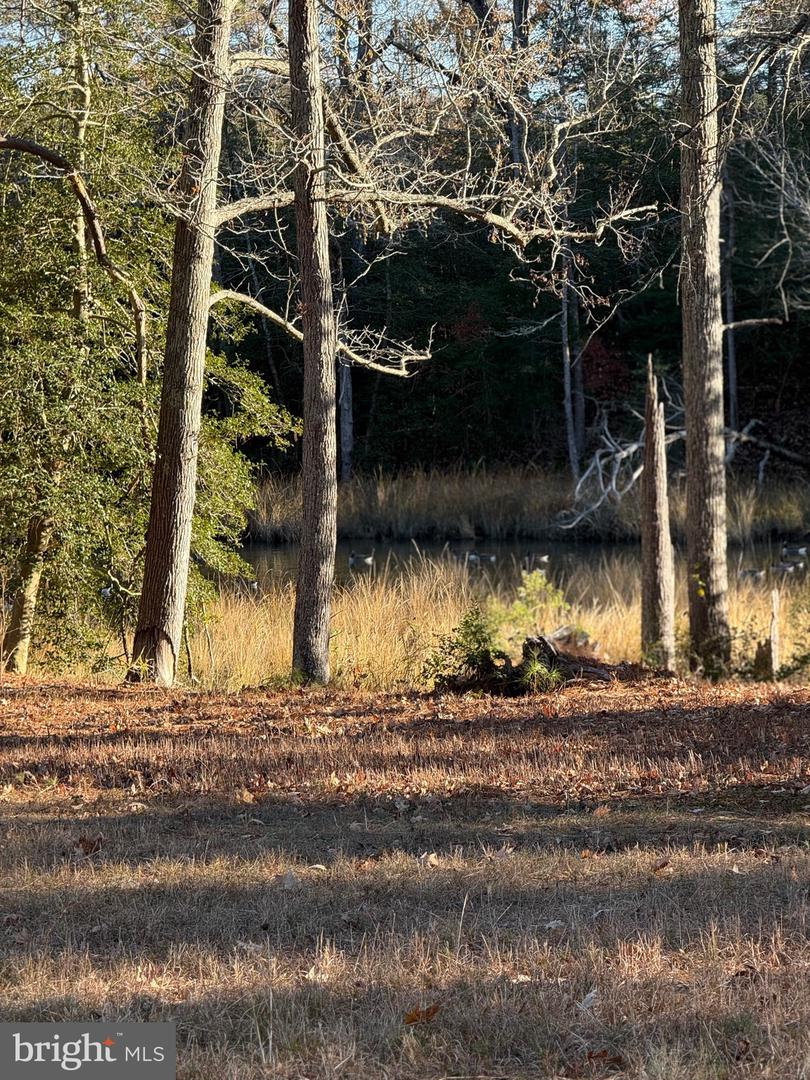 TBD LOT 28 SOUTH GLEBE RD, MONTROSS, Virginia 22520, 3 Bedrooms Bedrooms, ,2 BathroomsBathrooms,Residential,For sale,TBD LOT 28 SOUTH GLEBE RD,VAWE2010232 MLS # VAWE2010232 TBD LOT 28 SOUTH GLEBE RD, MONTROSS, Virginia 22520, 3 Bedrooms Bedrooms, ,2 BathroomsBathrooms,Residential,For sale,TBD LOT 28 SOUTH GLEBE RD,VAWE2010232 MLS # VAWE2010232