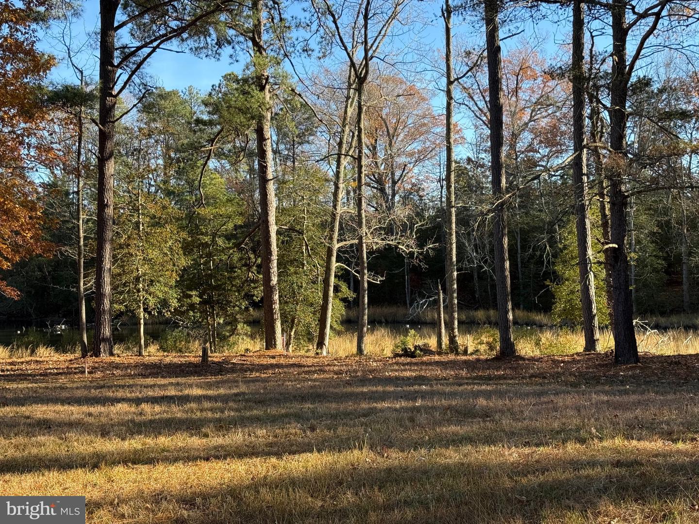 TBD LOT 28 SOUTH GLEBE RD, MONTROSS, Virginia 22520, 3 Bedrooms Bedrooms, ,2 BathroomsBathrooms,Residential,For sale,TBD LOT 28 SOUTH GLEBE RD,VAWE2010232 MLS # VAWE2010232 TBD LOT 28 SOUTH GLEBE RD, MONTROSS, Virginia 22520, 3 Bedrooms Bedrooms, ,2 BathroomsBathrooms,Residential,For sale,TBD LOT 28 SOUTH GLEBE RD,VAWE2010232 MLS # VAWE2010232